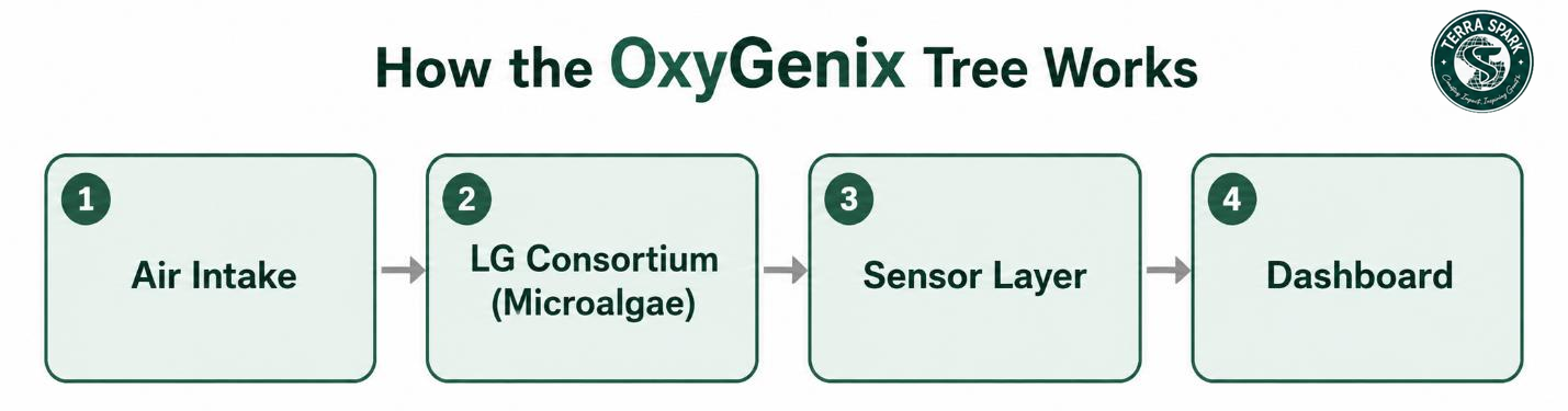 Diagram of how the OxyGenix Tree works, from air intake to microalgae, sensors and dashboard